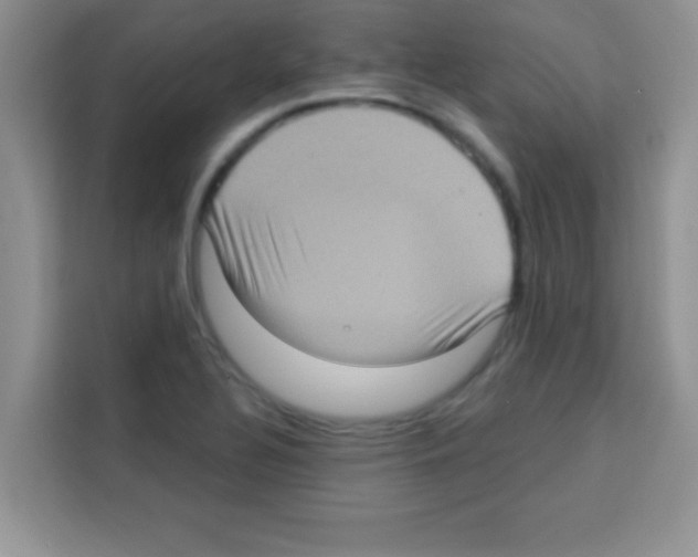 X0000113021320200910081152