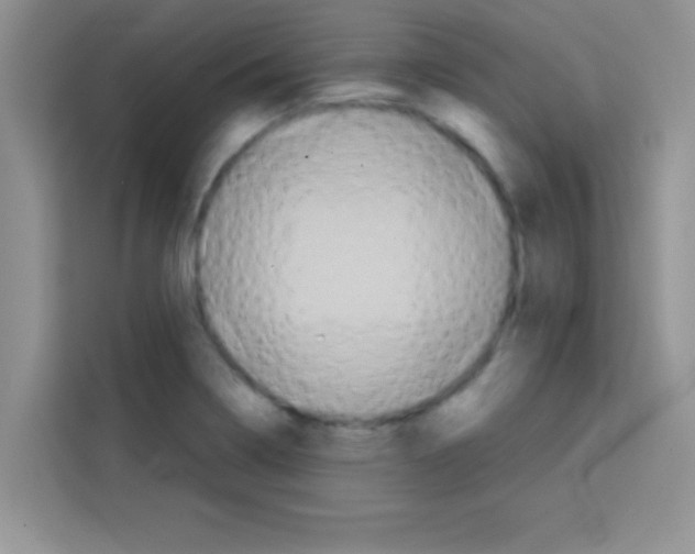 X0000113021322200910081152