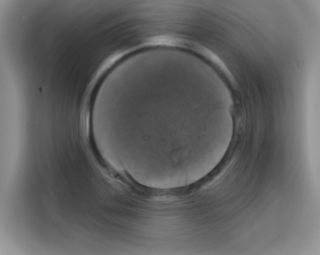 X0000113021323200910081152