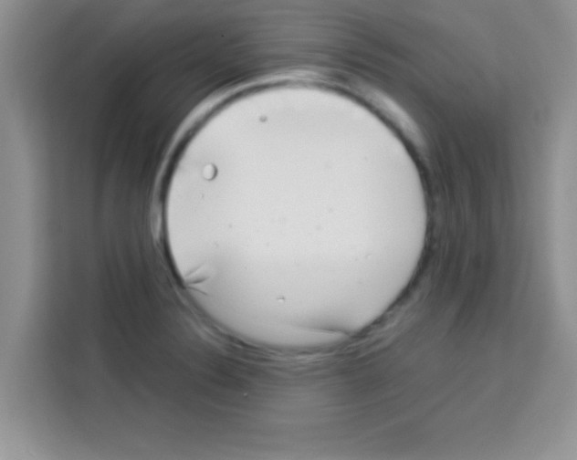 X0000113021324200910081152