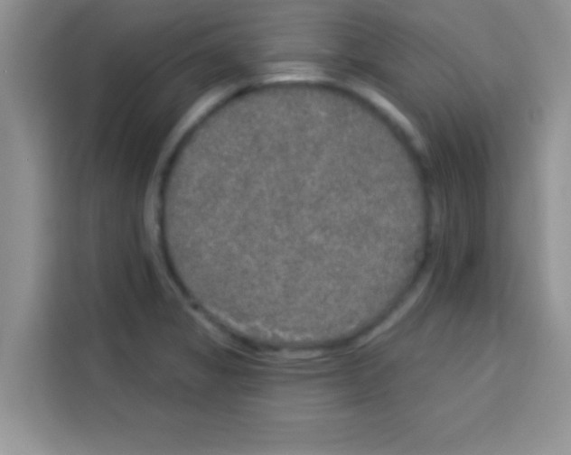 X0000113021325200910081152