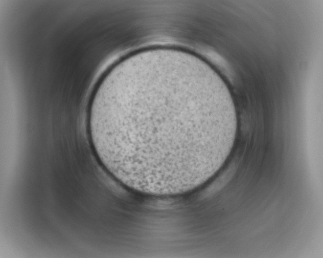 X0000113021326200910081152