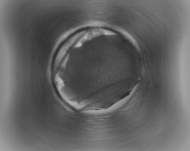 X0000113021327200910081152