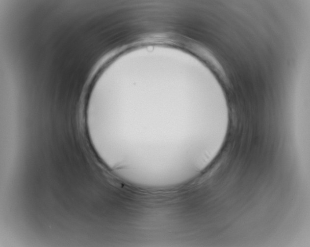 X0000113021328200910081152