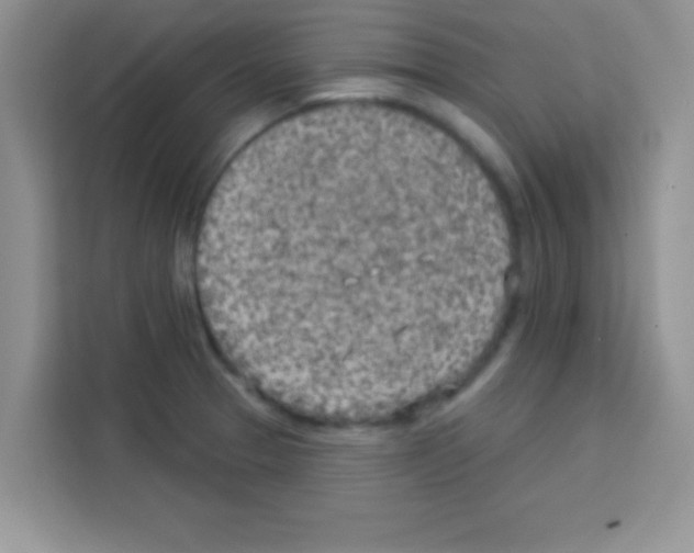 X0000113021329200910081152