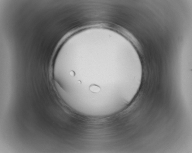 X0000113021332200910081152