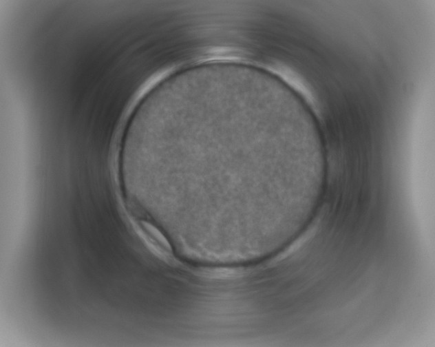 X0000113021333200910081152