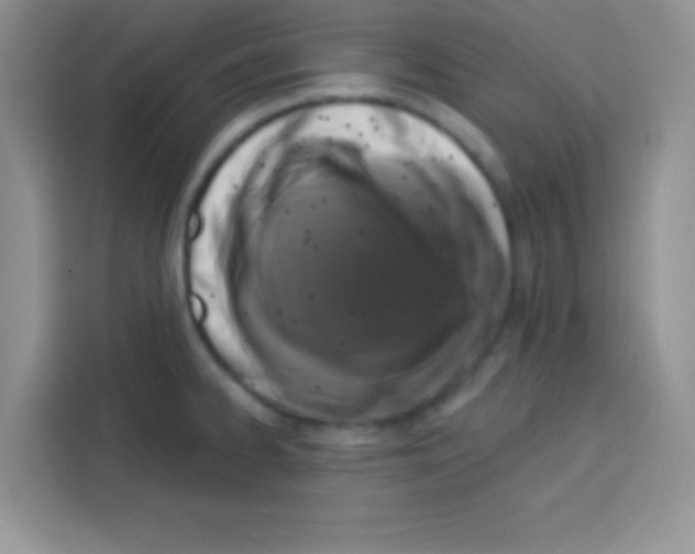 X0000113021334200910081152