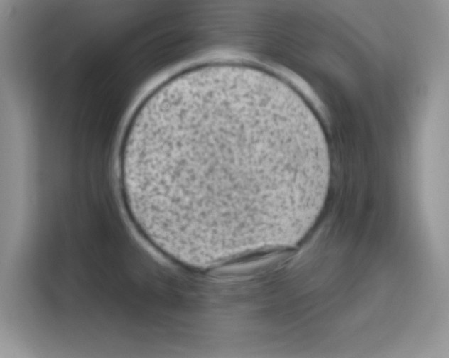 X0000113021335200910081152