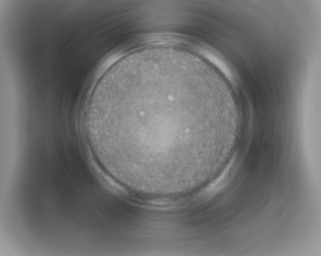 X0000113021338200910081152