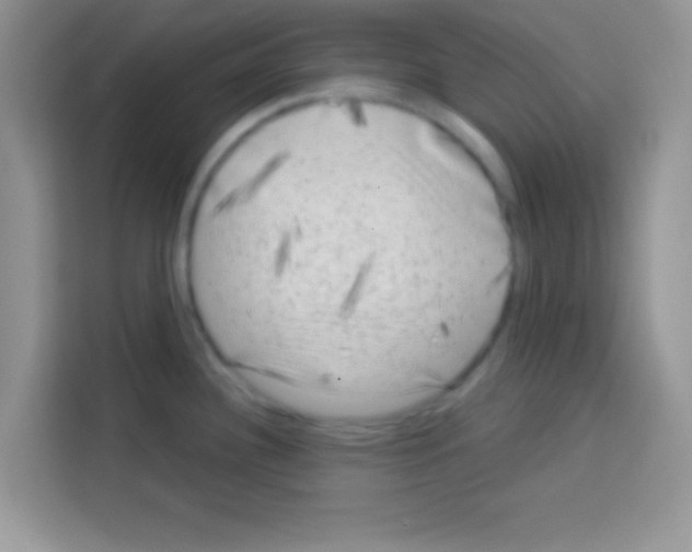 X0000113021340200910081152