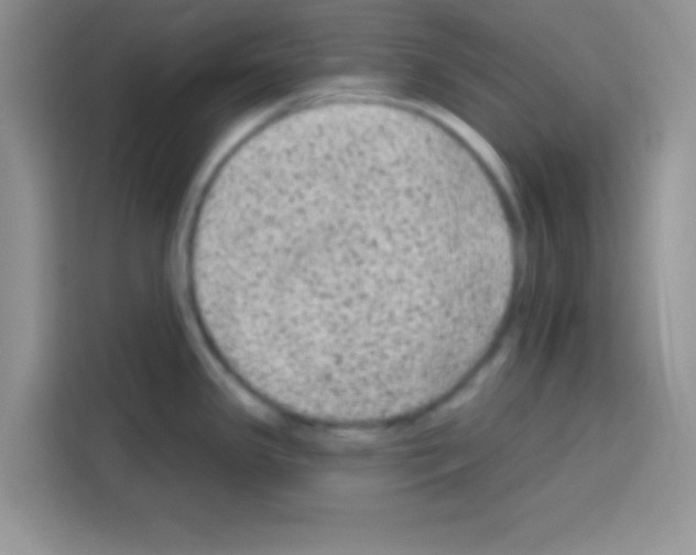 X0000113021341200910081152