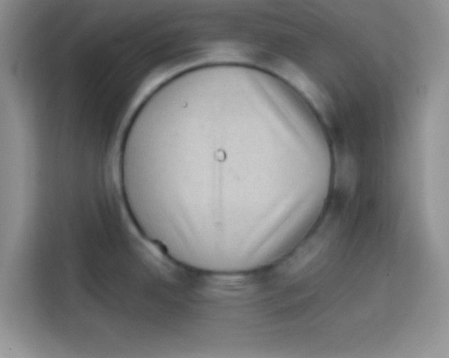 X0000113021342200910081152