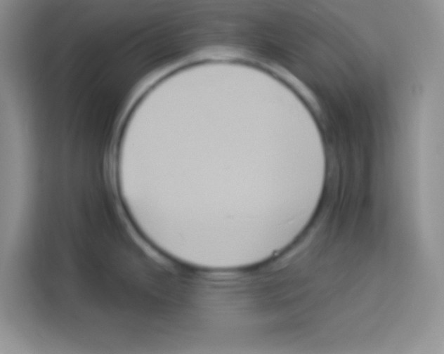 X0000113021343200910081152