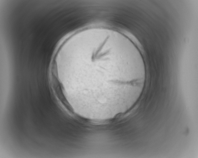 X0000113021344200910081152