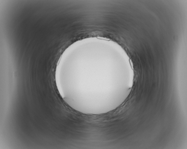 X0000113021345200910081151