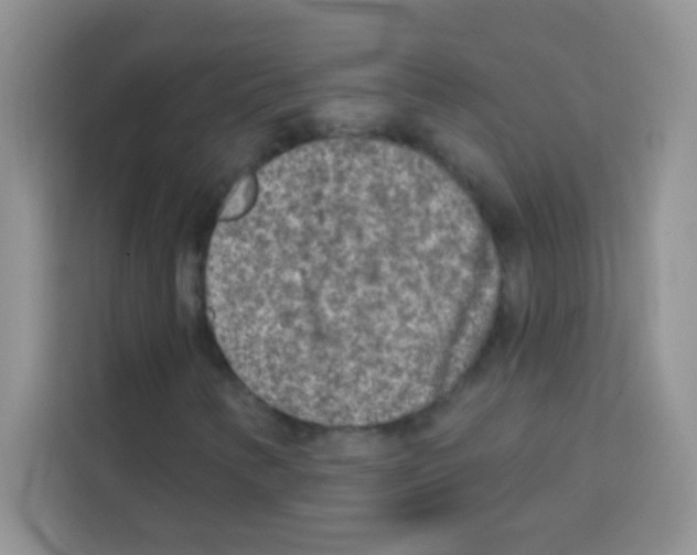 X0000113021346200910081151