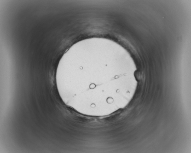 X0000113021348200910081151