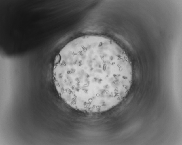 X0000113021350200910081151