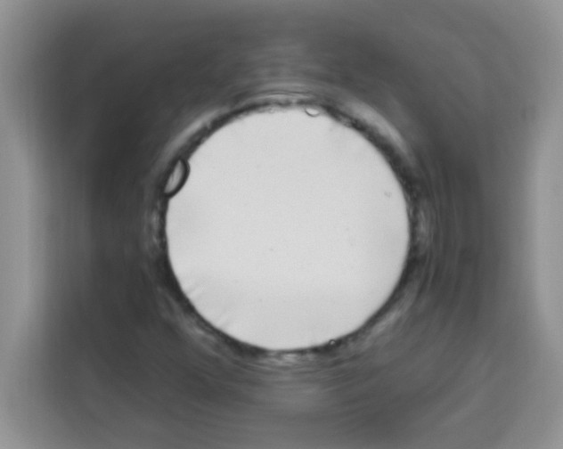 X0000113021352200910081151