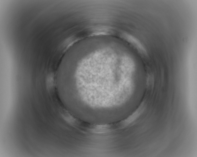 X0000113021353200910081151