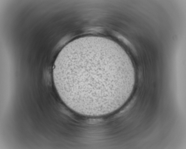 X0000113021354200910081151