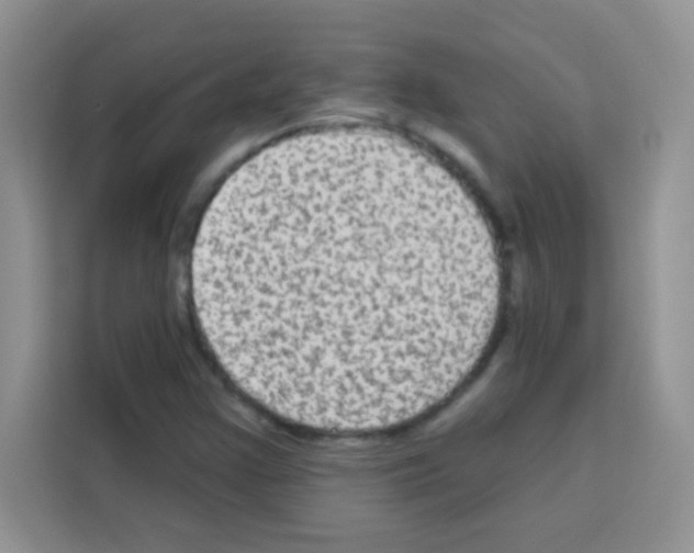 X0000113021355200910081151