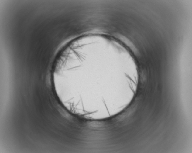 X0000113021356200910081151