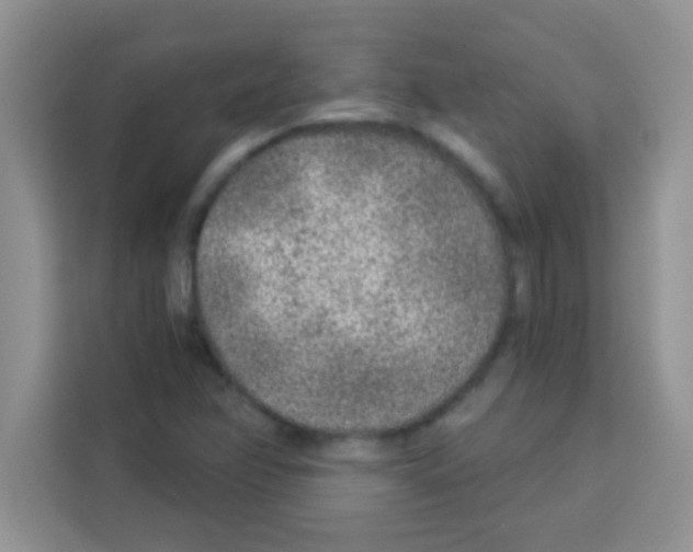 X0000113021358200910081151