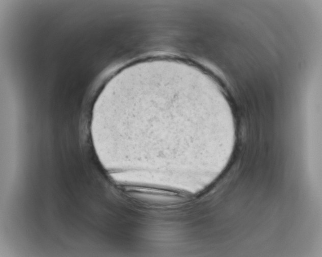 X0000113021359200910081151