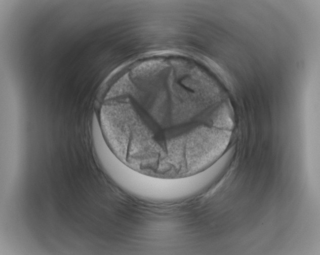 X0000113021361200910081151