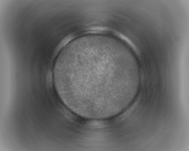 X0000113021362200910081151