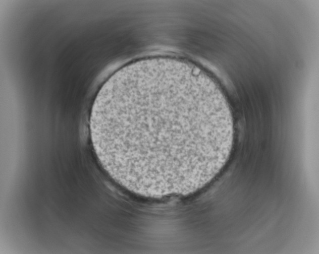 X0000113021363200910081151