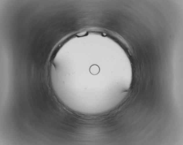 X0000113021364200910081151