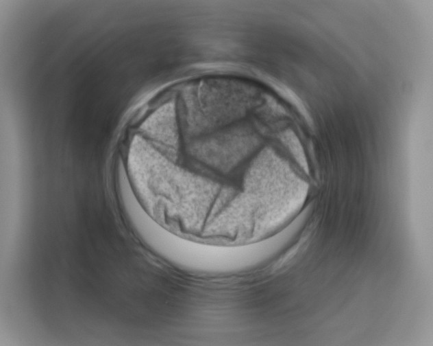 X0000113021365200910081151