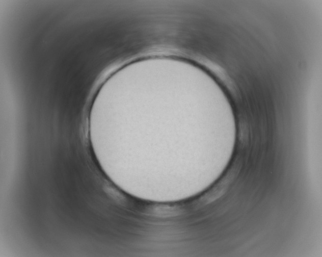 X0000113021366200910081151