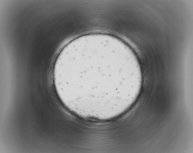 X0000113021367200910081151