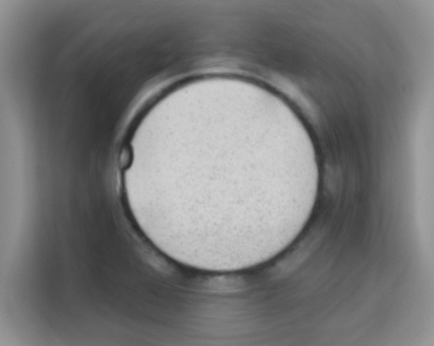 X0000113021368200910081151