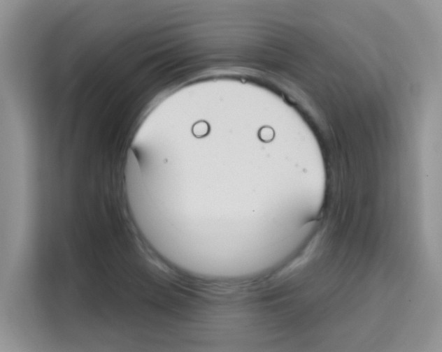 X0000113021369200910081151