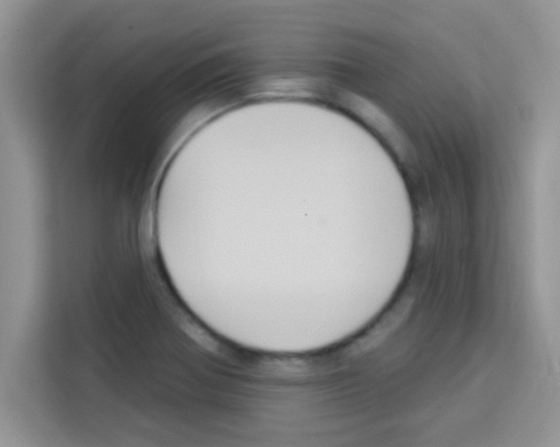 X0000113021370200910081151