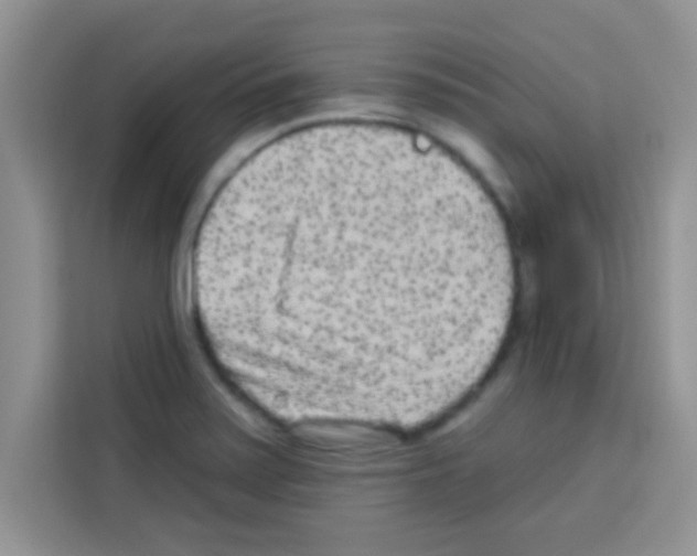 X0000113021371200910081151