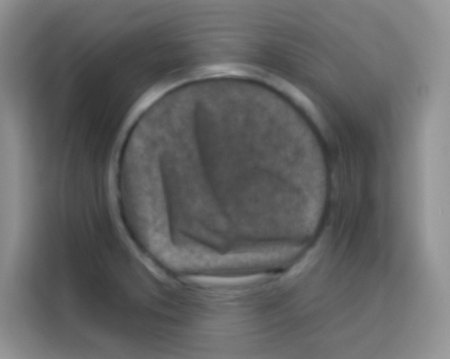 X0000113021373200910081151