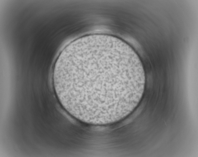 X0000113021374200910081151