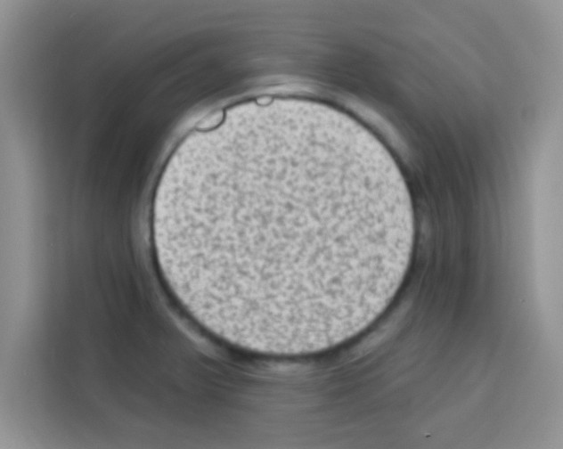 X0000113021375200910081151