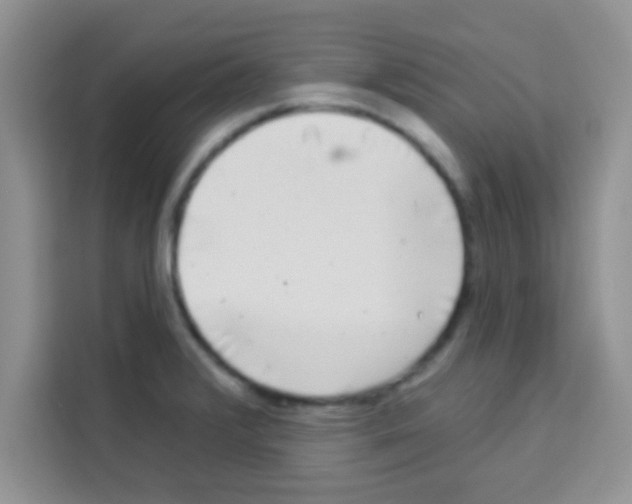 X0000113021376200910081151