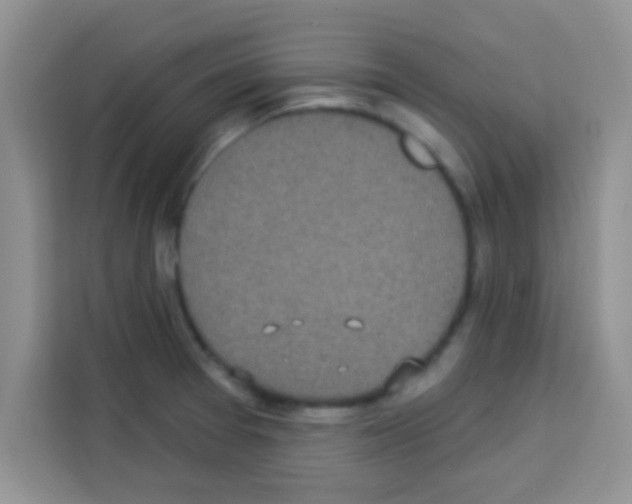 X0000113021377200910081151