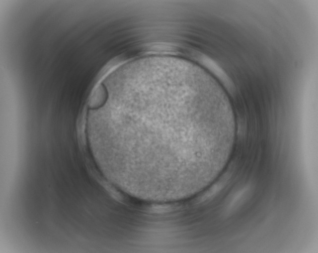 X0000113021378200910081151