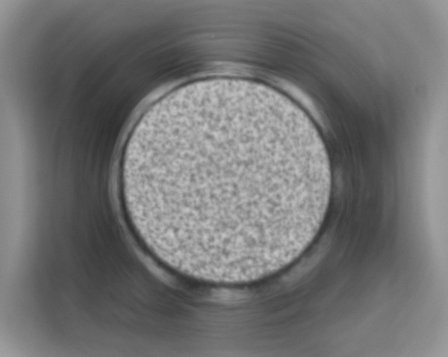 X0000113021379200910081151