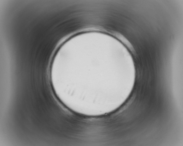 X0000113021380200910081151