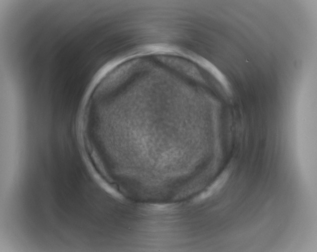 X0000113021381200910081151